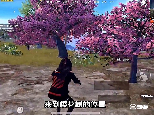 和平精英许愿树位置分享