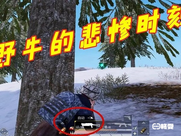 和平精英野牛和m416强弱对比，射速突出专为近战而生