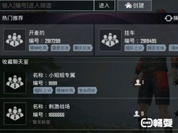 和平精英怎么完成进入聊天室的任务啊?求帮助?