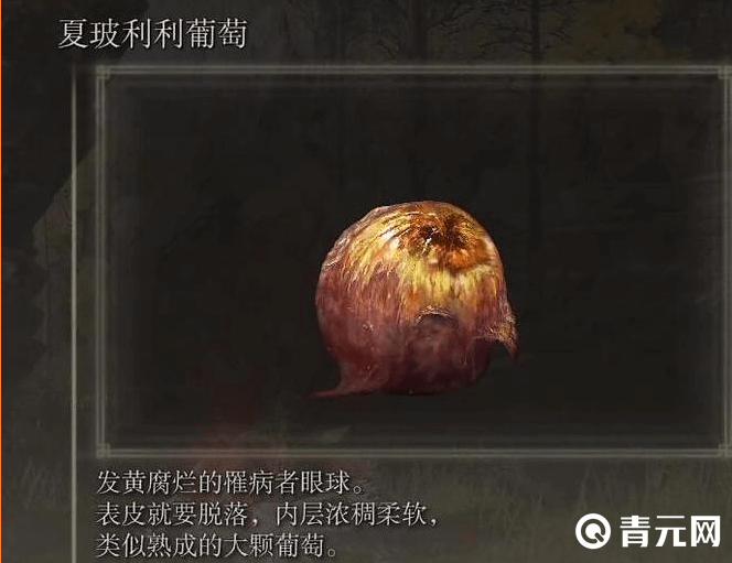 夏玻利利葡萄是发黄腐烂的罹病者眼球