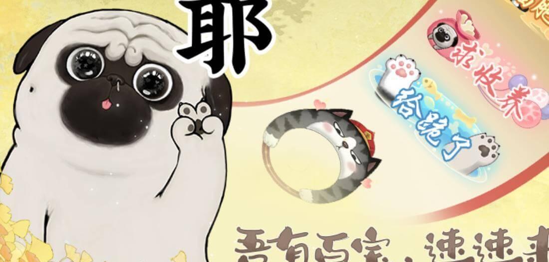 秋田犬在公子府出没
