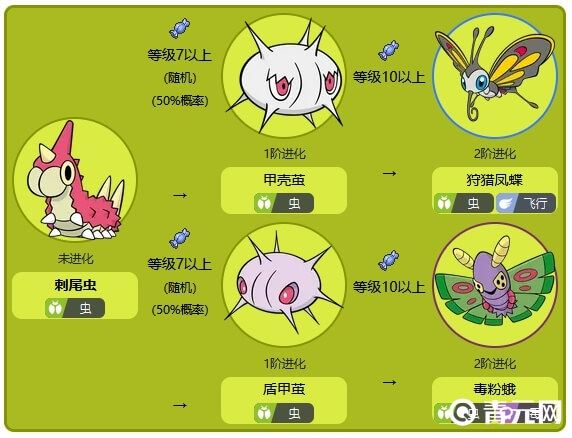 宝可梦刺尾虫有两条进化路线/