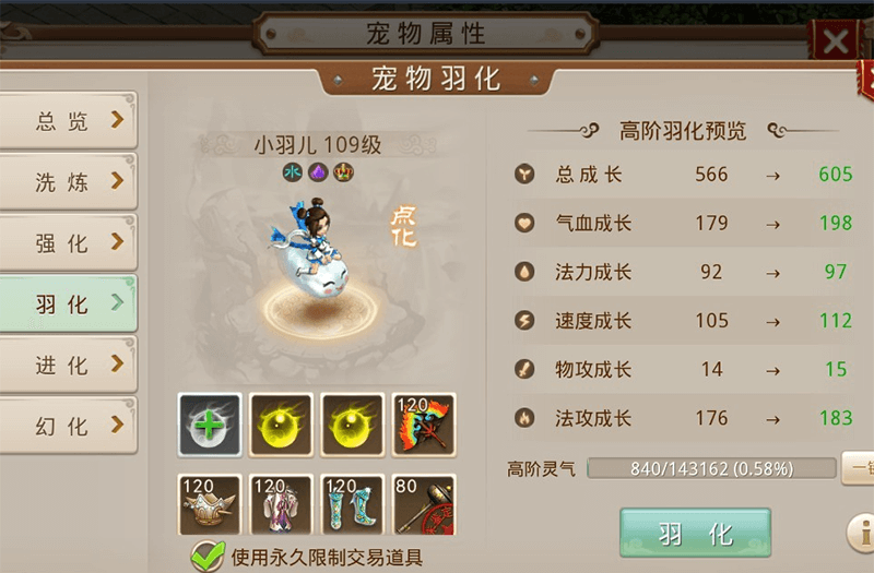宠物小羽儿